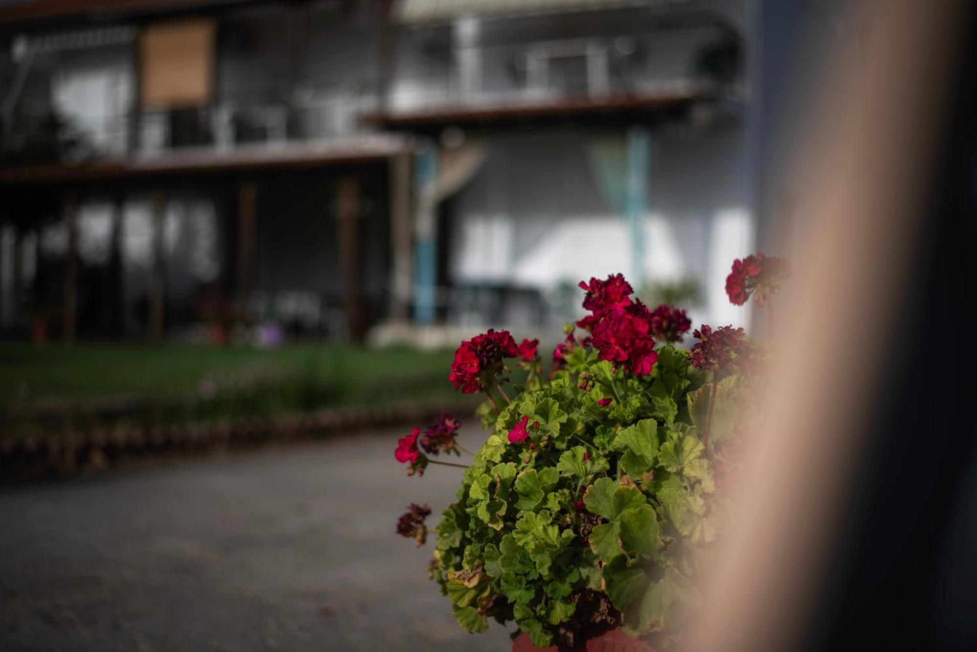 Marilena Apartments Anastasiou Веліка Екстер'єр фото